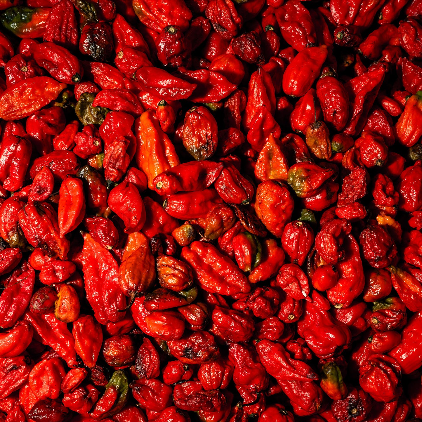 Holy Smokes and the EZ Creeper