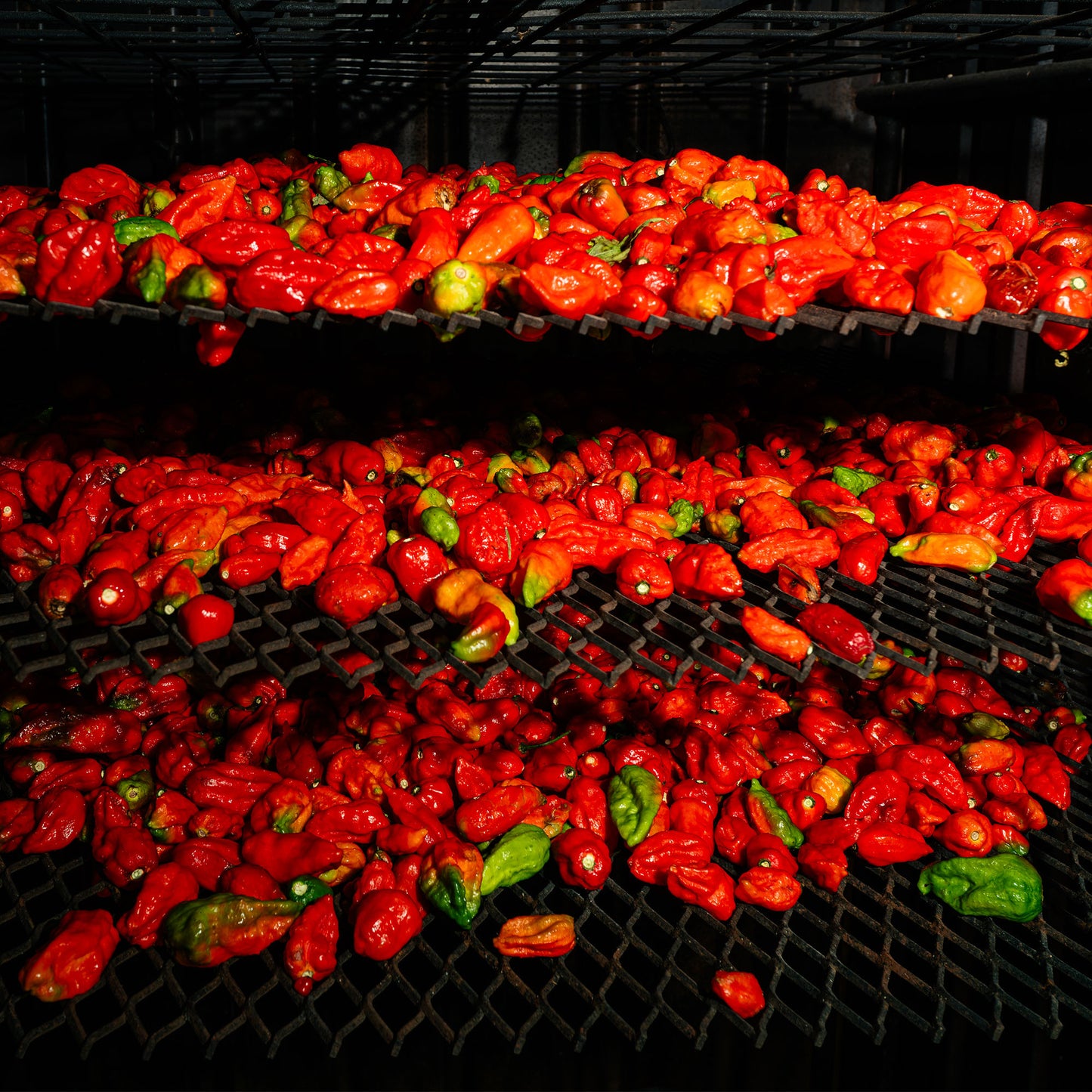 Holy Smokes and the EZ Creeper