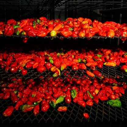 Holy Smokes and the EZ Creeper